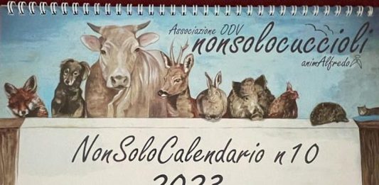 calendario animalista 2023