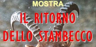 mostra stambecco carmagnola pro natura