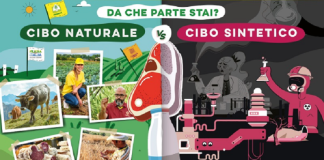 Casalgrasso Coldiretti cibo sintetico