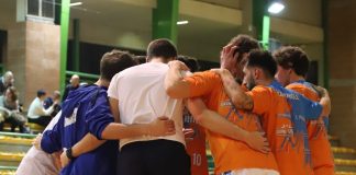 delfini basket carmagnola