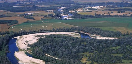 Parco del Bosco del Gerbasso Carmagnola