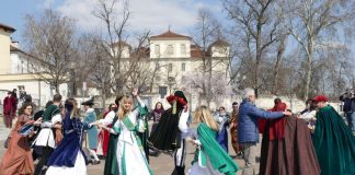 carnevale villastellone