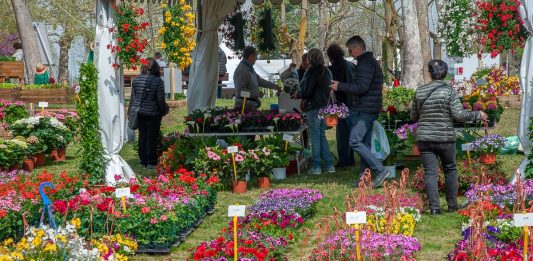 ortoflora e natura 2023 carmagnola programma sabato 1 domenica 2 aprile