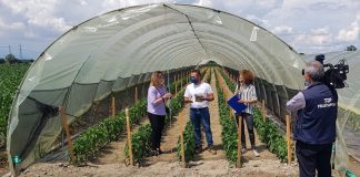 siccità carmagnola agricoltura