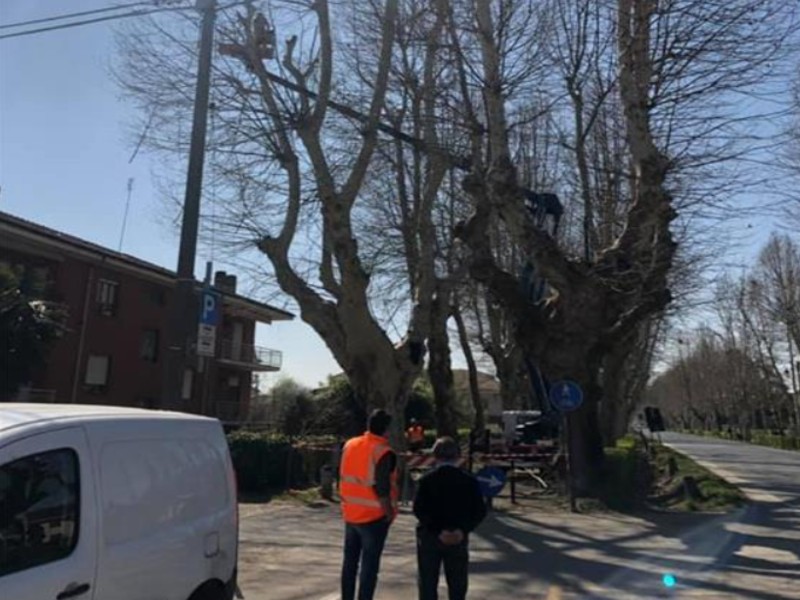 Nuova azienda a Racconigi per la manutenzione del verde pubblico