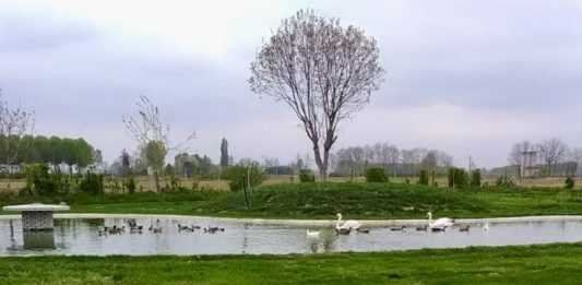 Pancalieri uccelli bealera Molino