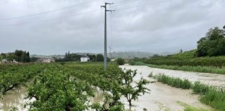 Confagricoltura Piemonte