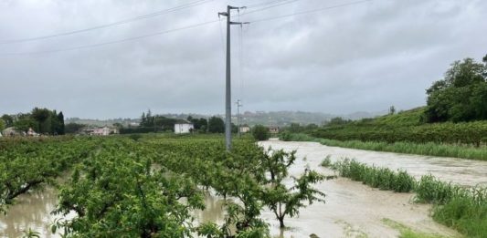 Confagricoltura Piemonte