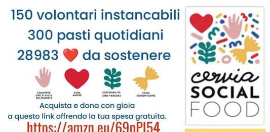 Api di Carta