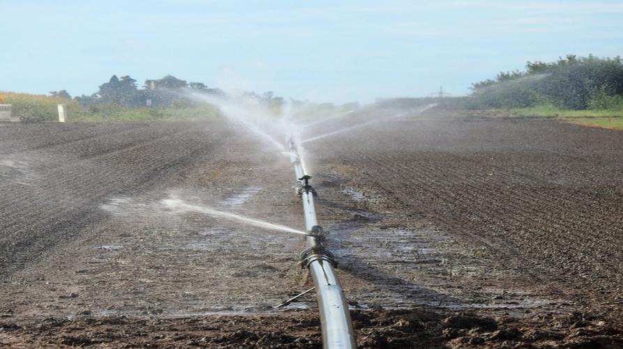 Piemonte: bando da 5 milioni per investimenti irrigui nelle aziende agricole