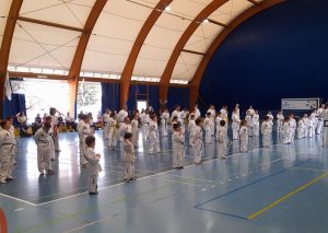 Il Taekwon-do protagonista di un evento a Vinovo