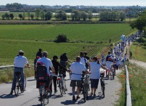 Pedalata Ecologica 2023 a Carmagnola, con tappa al Gerbasso