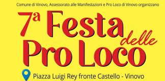 Festa delle Pro Loco Vinovo