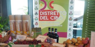 distretti cibo piemonte