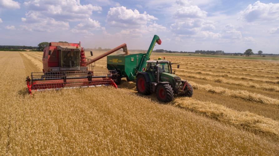 bandi aziende agricole piemonte