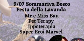 Sommariva lavanda pet therapy