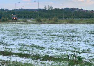 Una forte grandinata ha fatto danni ai campi tra Santena, Poirino e Pralormo