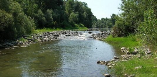 Piemonte habitat acquatici