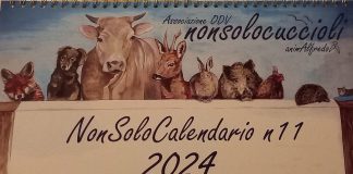 calendari animalisti 2024