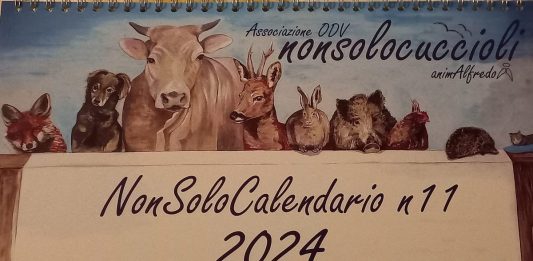 calendari animalisti 2024