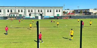 campionati calcio dilettanti piemonte