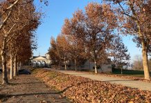 orario cimiteri carmagnola Ognissanti 1 novembre