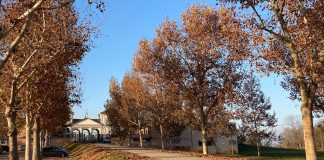 orario cimiteri carmagnola Ognissanti 1 novembre