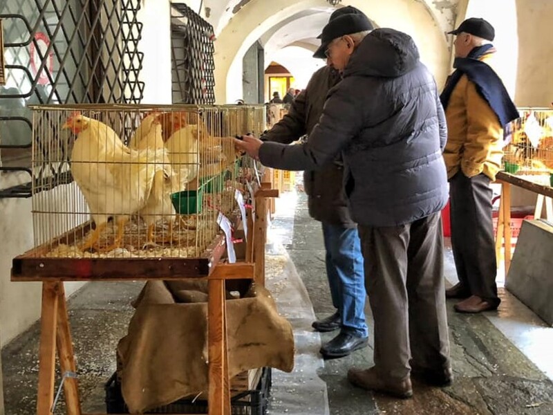 Torna a Racconigi la tradizionale Fiera di Santa Lucia