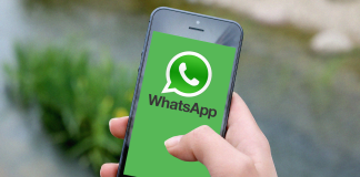 canale whatsapp il carmagnolese