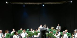 concerto natale villastellone