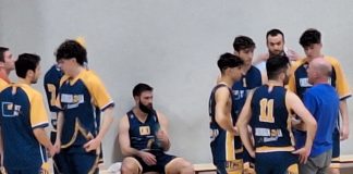 BTM Basket Carmagnola