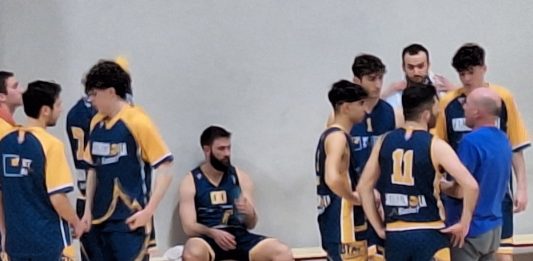 BTM Basket Carmagnola