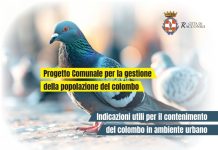 Racconigi contenimento colombo volantini