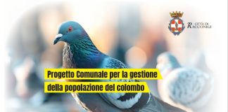 Racconigi contenimento colombo volantini