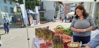 festa di primavera Cambiano