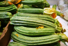 fiera zucchino La Loggia