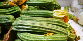 fiera zucchino La Loggia