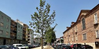 piazza rayneri carmagnola