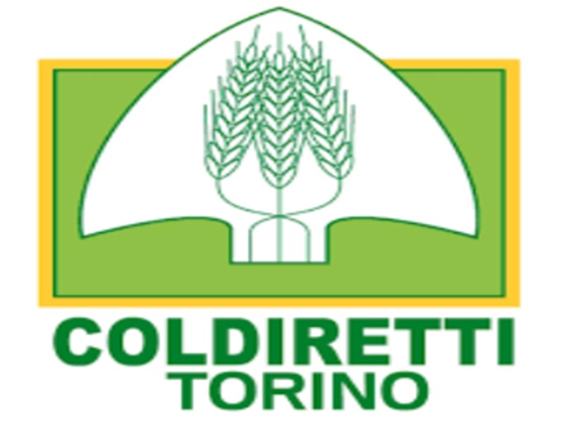 Coldiretti Torino chiede più impegno per le politiche agricole