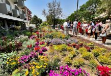 expo verde pubblico