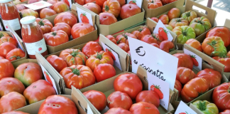 Cambiano sagra Pomodoro Costoluto