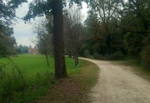 Parco Castello Racconigi