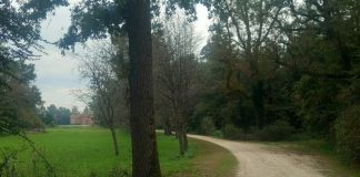 Parco Castello Racconigi