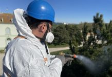 Villastellone disinfestazione processionaria