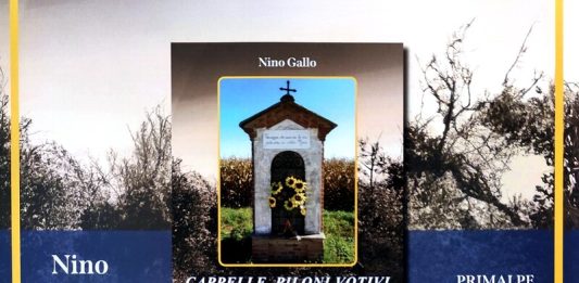 Libro Nino Gallo Racconigi