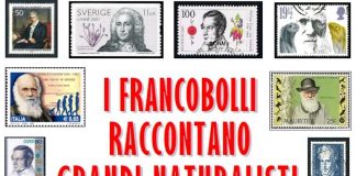 francobolli naturalisti