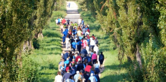 Corsa Conte Borgo Cornalese