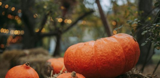 fiera della zucca Santena