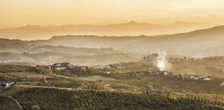 Calendario Avataneo 2025 Langhe Roero