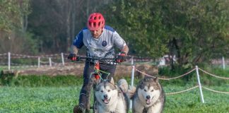 castagnolesi campionato italiano bikejöring